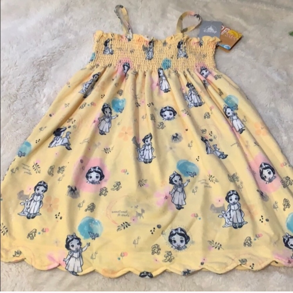 Disney Coverup
